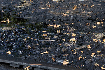 Petroleo contaminación