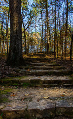 Hiking Path-Caddo Lake State Park-5722