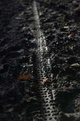 4 - Vertical image of bicycle tyre tread pattern in deep mud outdoors