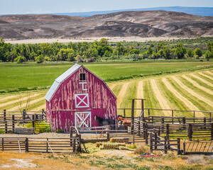 Red barn in the valley © Brad