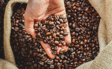 Woman's hand holding coffee beans.