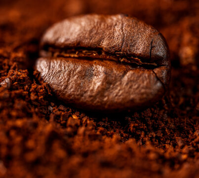 Macro view of single coffee bean and ground coffee.