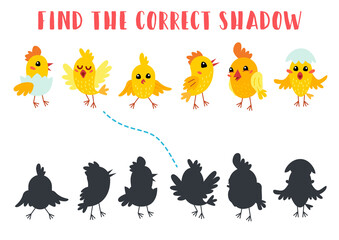 Find the correct shadow. Educational matching game for children. Kids learning game. Preschool worksheet activity. Cartoon birds chicks