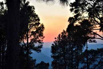 Fototapeta na wymiar sun setting in evening with sharp foreground blur background 