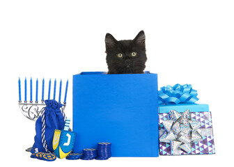 Adorable black kitten peaking out of a blue Hanukkah present with dreidel, menorah, coins and other...