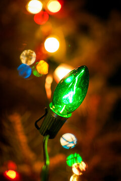 Old fashioned Christmas tree lights, close-up of large C7 bulb on vintage string of Christmas lights in tree.