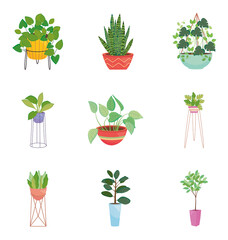icon set of house plants, colorful design