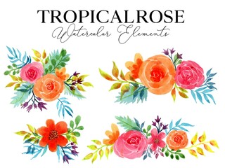 Tropical Rose Watercolor Floral Element Vector