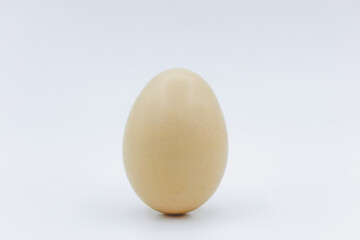 Fresh and tasty country eggs