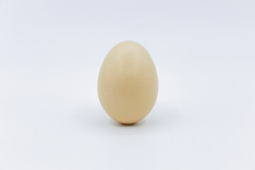 Fresh and tasty country eggs