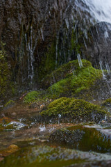 Moss Islands Beneath the Waterfall