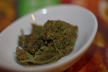 Medical marihuana super lemon haze close up cannabis modern high quality prints