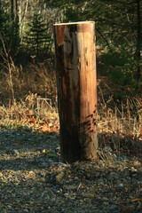 Fence post