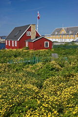 Colorful houses in Nuuk (Godthab), Greenland