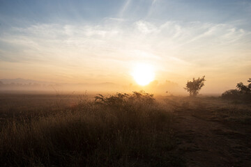 sunrise in the morning