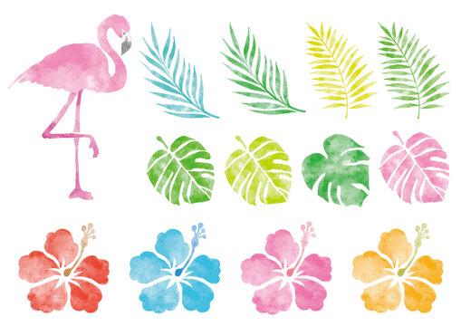 フラミンゴ Images Browse 2 226 Stock Photos Vectors And Video Adobe Stock