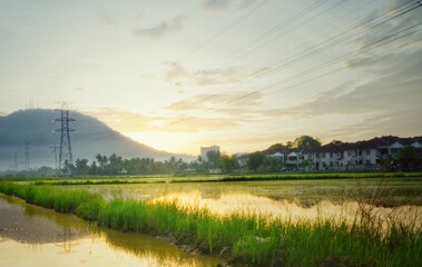 Beach, ocean, boats and nature