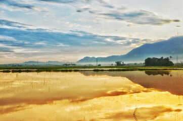 Beach, ocean, boats and nature