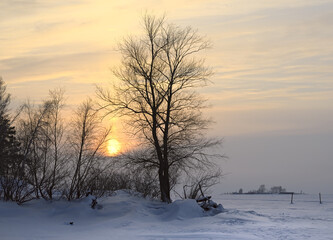 Sunset over the winter snow-covered plain