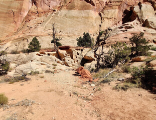 Golden sandstone geographical formations with a desert prairie landscape on a hot summer day at the Cohan Canyon Trail in Capitol Reef National Park Southern Utah.