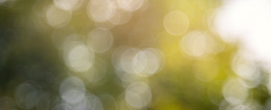 Blurred soft bokeh abstract nature backgrounds