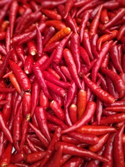 many red and spicy chili design for red and energy background