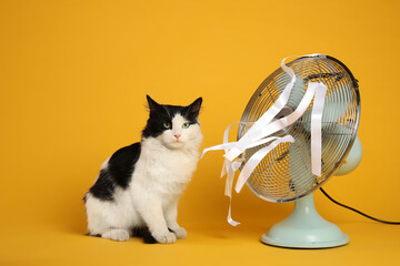 Cute fluffy cat enjoying air flow from fan on yellow background. Summer heat