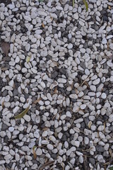 collection of natural stone white on the ground, wallpaper design concept.