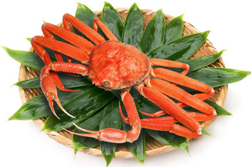 茹でズワイガニ