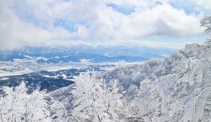 新潟県のスキー場の景色【Scenery of ski resort in Niigata, Japan】