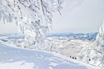 新潟県のスキー場の景色
