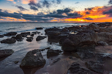 Fototapeta na wymiar Colorful sunrise on the rocky coast