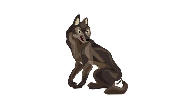Forest wolf icon animation best on white background for any design