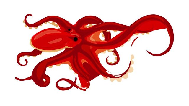 Octopus icon animation best on white background for any design