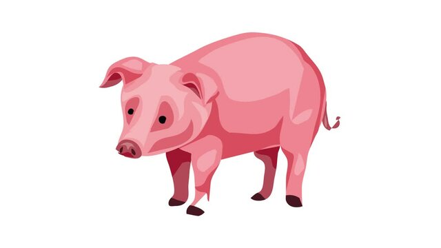 Farm pig icon animation best on white background for any design