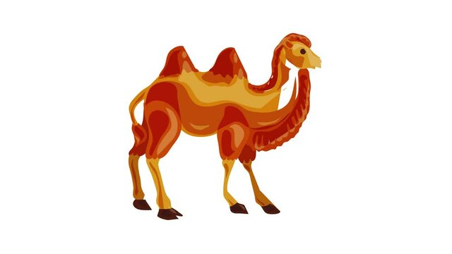 Camel icon animation best on white background for any design