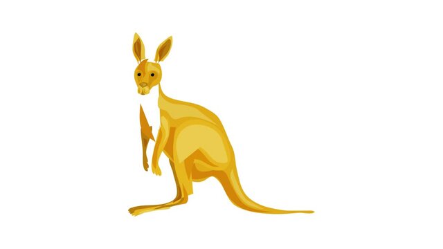 Kangaroo icon animation best on white background for any design