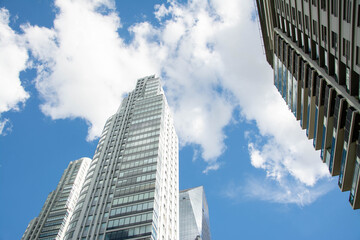 Fototapeta premium modern office building in the city