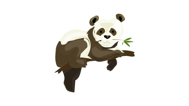 Panda bear icon animation best on white background for any design