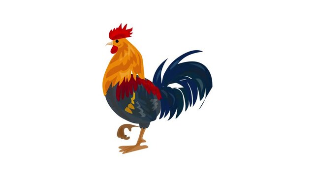 Farm cock icon animation best on white background for any design