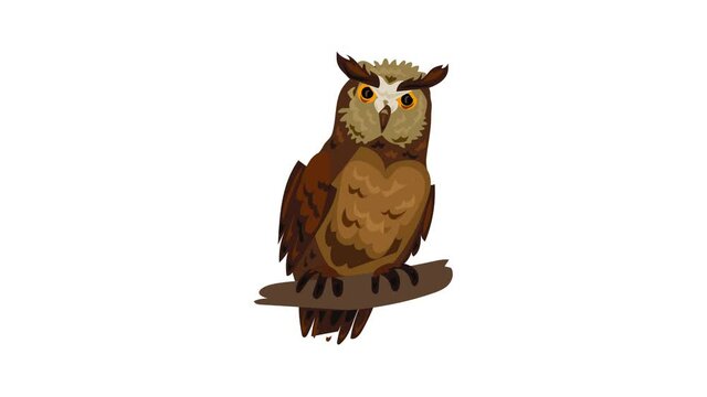 Owl icon animation best on white background for any design