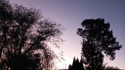 Atardecer