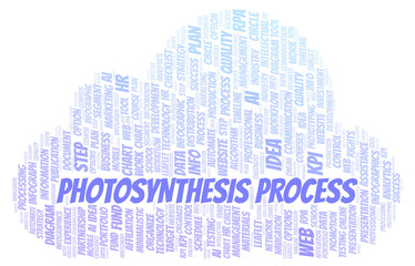 Obraz premium Photosynthesis Process typography word cloud create with the text only.