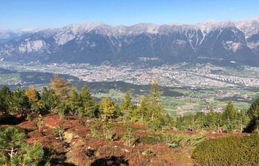 Fototapeta premium Zirbenweg am Patscherkofel oberhalb von Innsbruck Sistrans Lans Patsch gegenüber dem Karwendel Gebirge