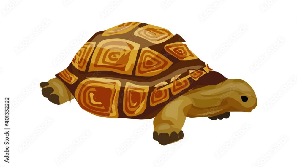 Poster turtle icon animation best on white background for any design
