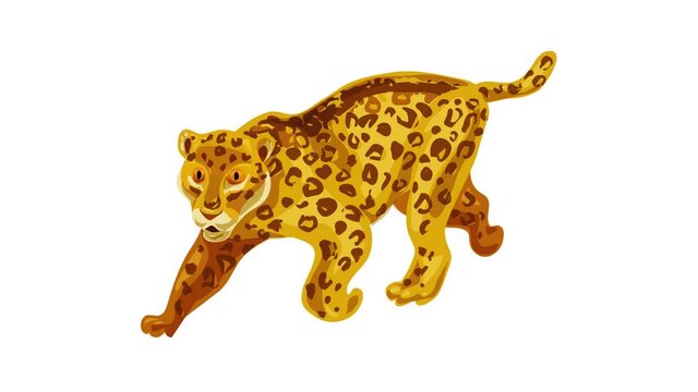 Cheetah icon animation best on white background for any design