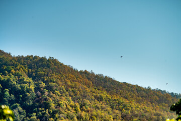 Mountains with colorful trees in Thailand