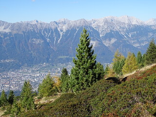 Zirbenweg am Patscherkofel oberhalb von Innsbruck Sistrans Lans Patsch gegenüber dem Karwendel...