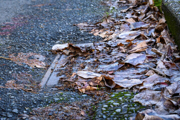 Storm drain covered in dead leaves, not ready for winter storms, residential street

