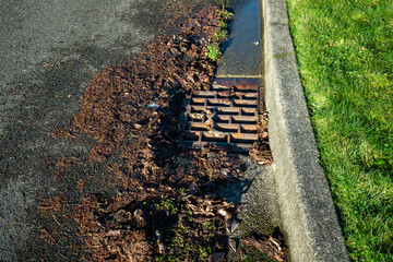 Residential storm drain on a sunny day, wet tree debris around drain, street and curb
